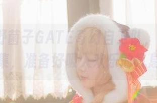 观看浅野菌子GATE奇幻自卫队，萝莉·麦丘利合集，准备好吸入欢乐的气息了吗？