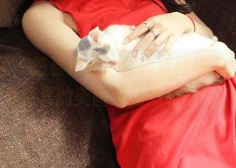 青豆客 – 想看更多！汪佩妮网袜私拍，意外惊喜的美图让我心动不已！